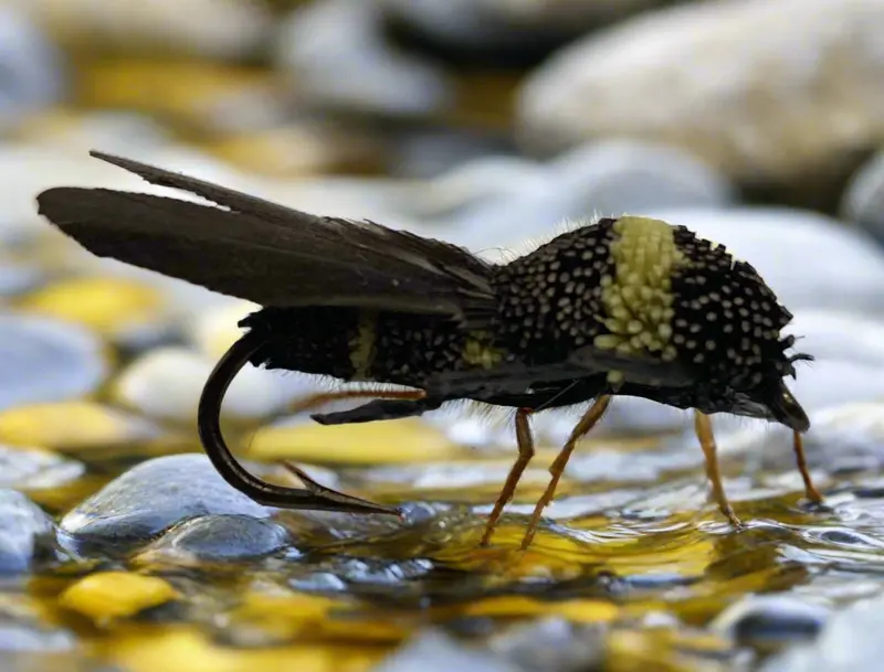 Clipped Yellow Jacket Dry Fly – Size 8 1