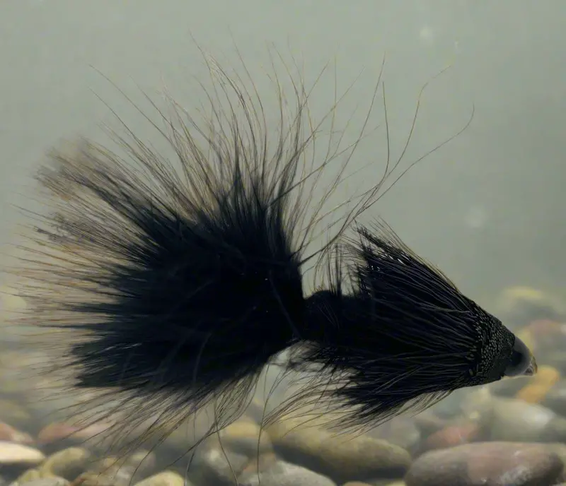 Galloup'S Conehead Wooly Sculpin Streamer 3