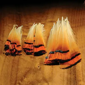 Golden Pheasant Tippet Feathers – Iridescent Accent Plumes For Dry Flies 1