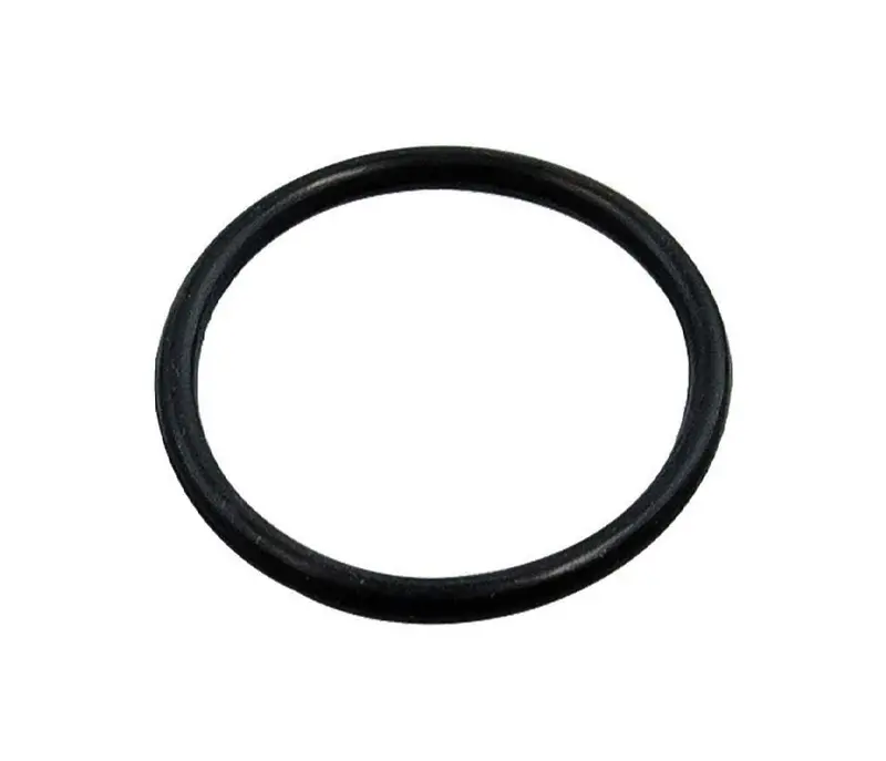 Ski-Doo Precision-Matched O-Ring Gasket 1