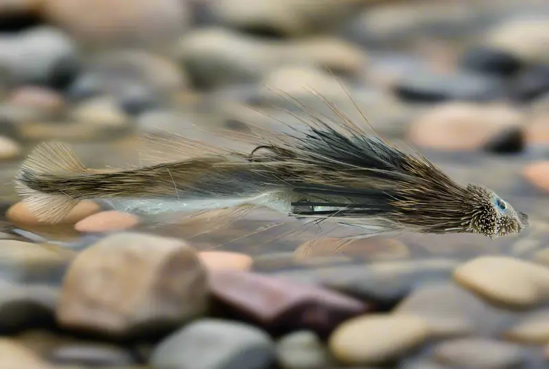 Thompson Hopscotch Sculpin Streamer 1